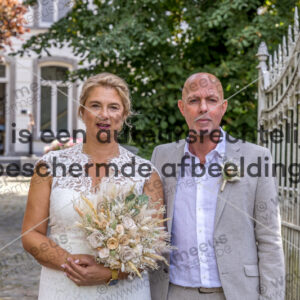 demeyere geert & vansteenkiste tamara